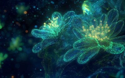 Biotechnologie und kreative KI: Lebende Organismen in kreativen Prozessen